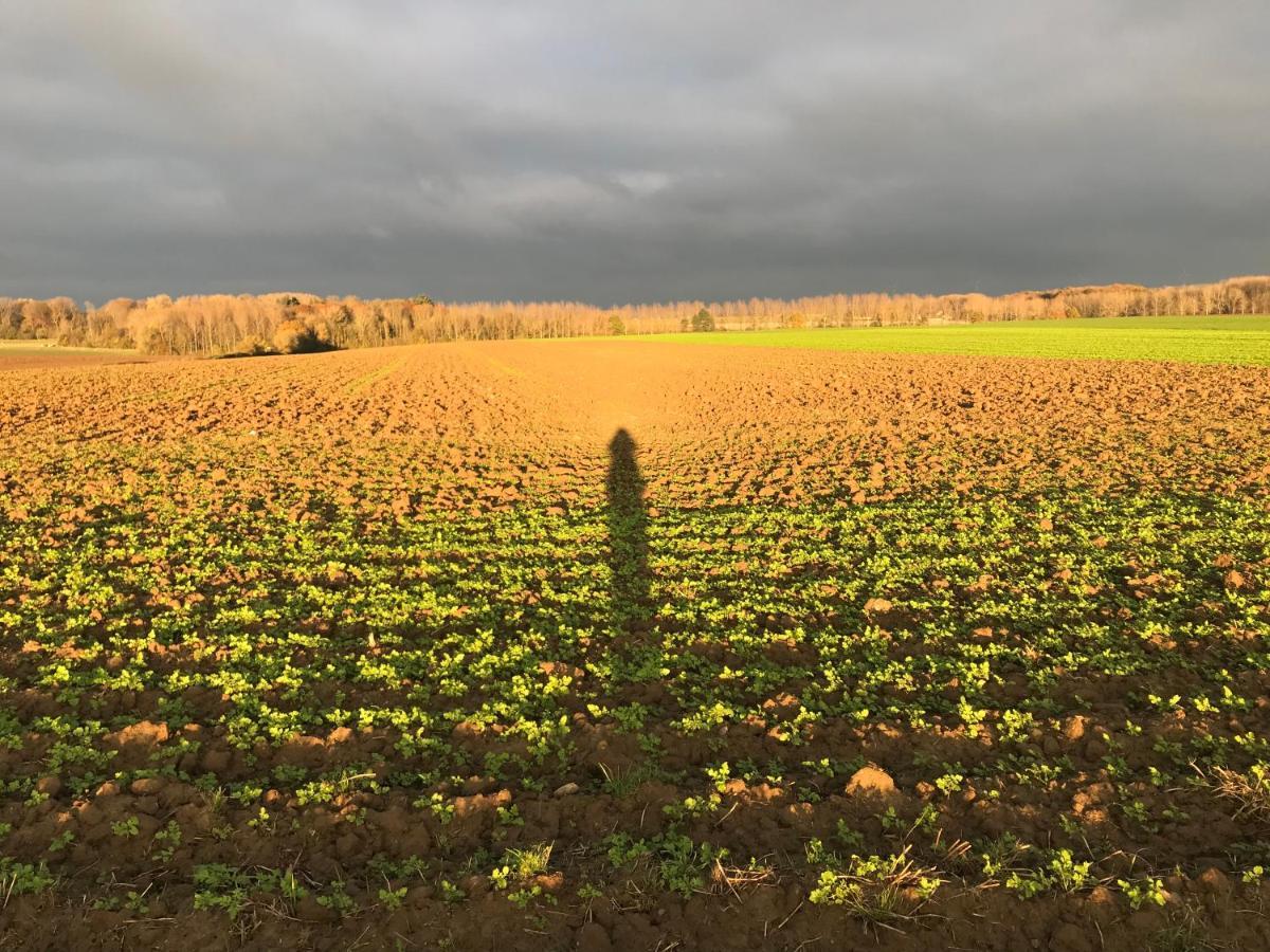 La Suite Cosy - Votre Pause Arboree La Bruyere Exterior foto